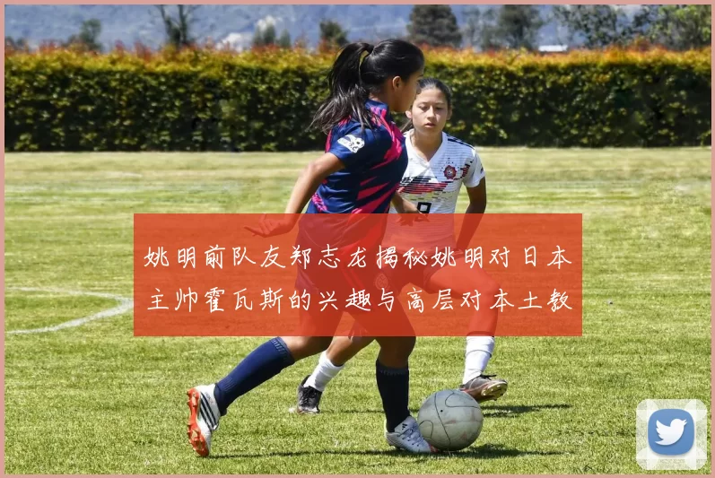 姚明前队友郑志龙揭秘姚明对日本主帅霍瓦斯的兴趣与高层对本土教练的偏好
